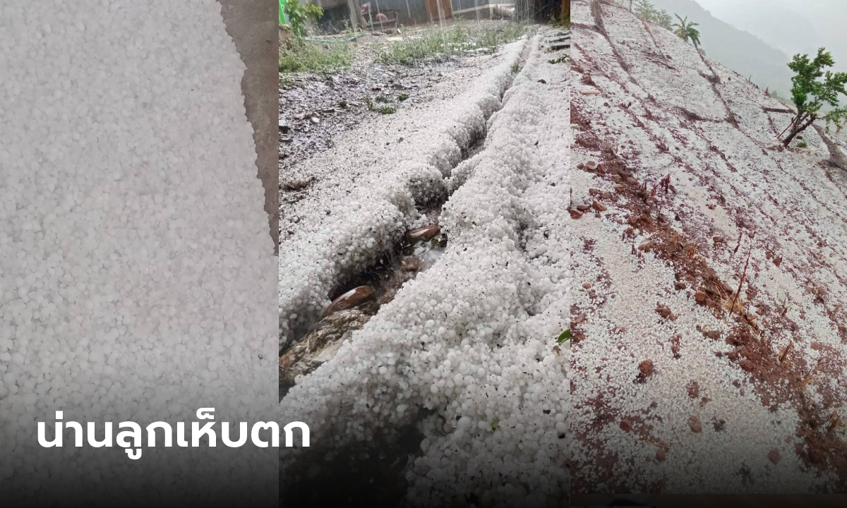 น่านเจอลูกเห็บตกขาวโพลน กรมอุตุฯ แม่นเป๊ะ เตือน 12-14 มี.ค.นี้ ระวังพายุฤดูร้อน